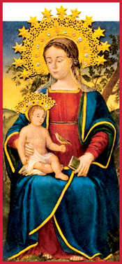 Santuario Madonna dell'Olmo Santuario Madonna dell'Olmo